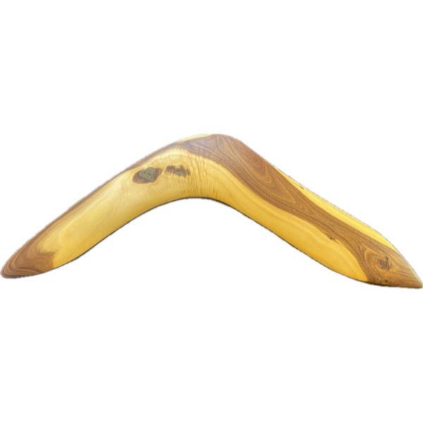 Hand-Carved Boomerang (Medium Thick) by Anthony Saltmere 57cm long