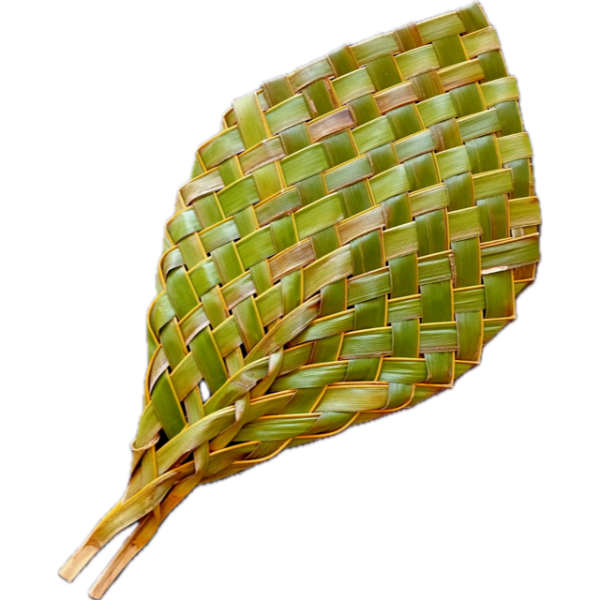 Woven Palm Leaf Fan Handcrafted by Wasada Gutchen Woven Through Time